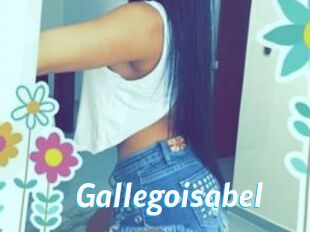 Gallegoisabel