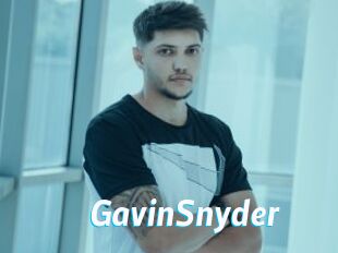 GavinSnyder
