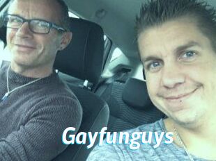 Gayfunguys