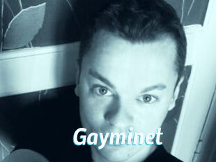 Gayminet