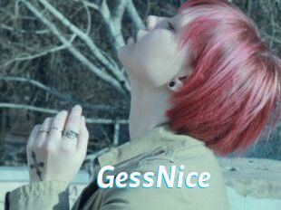 GessNice