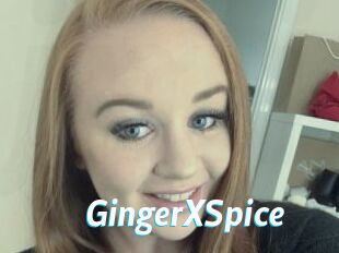 GingerXSpice