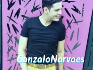 GonzaloNarvaes