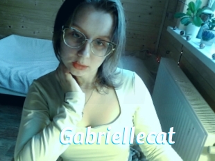 Gabriellecat
