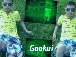 Gaokui