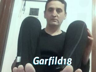 Garfild18