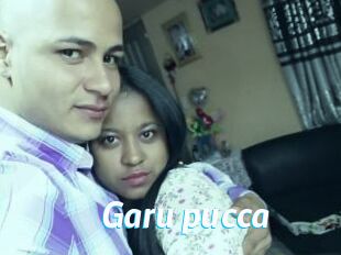 Garu_pucca
