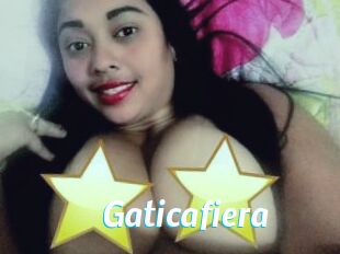 Gaticafiera