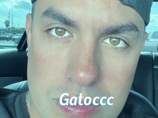 Gatoccc