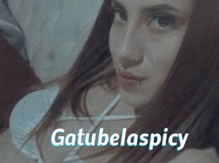 Gatubelaspicy