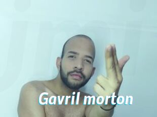 Gavril_morton