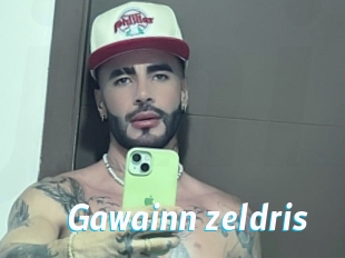 Gawainn_zeldris