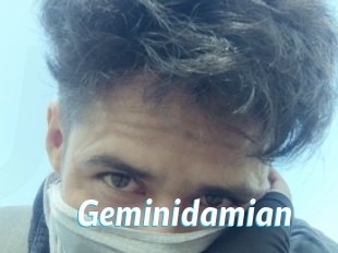 Geminidamian