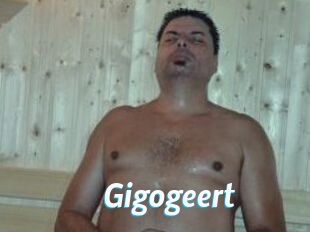 gigogeert J Mine