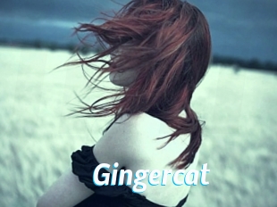Gingercat