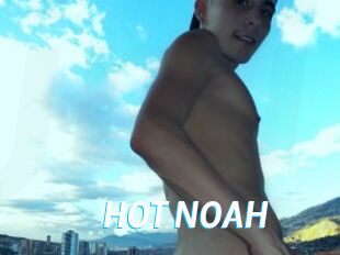 HOT_NOAH