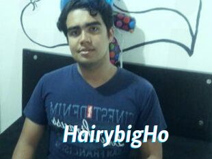 HairybigHo