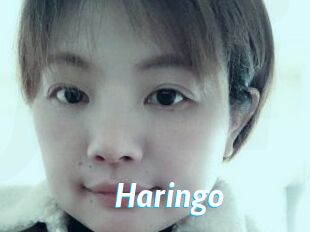 Haringo