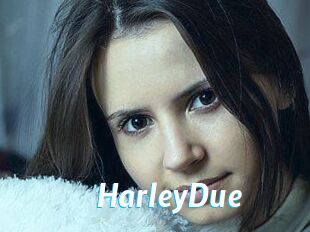 Harley_Due