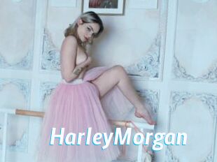 HarleyMorgan