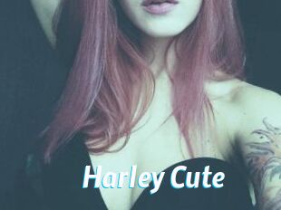 Harley_Cute