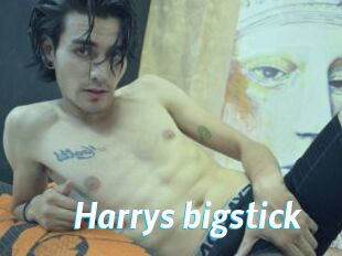Harrys_bigstick