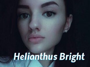 Helianthus_Bright