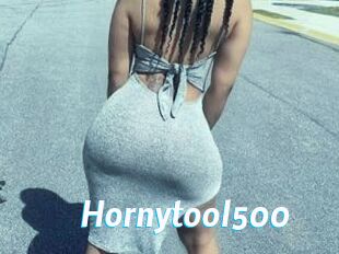 Hornytool500