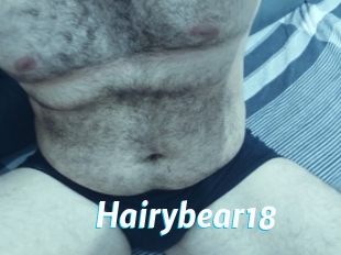 Hairybear18
