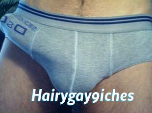 Hairygay9iches