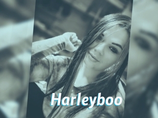 Harleyboo