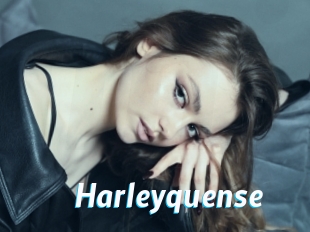 Harleyquense