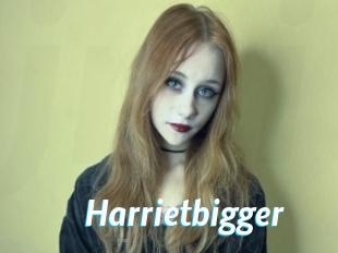 Harrietbigger