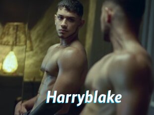 Harryblake