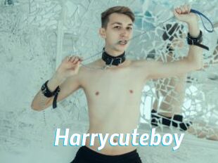 Harrycuteboy
