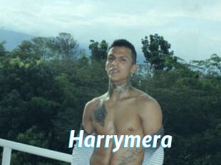 Harrymera