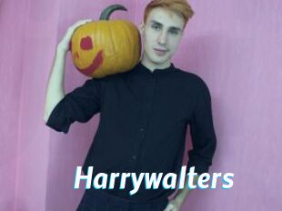 Harrywalters