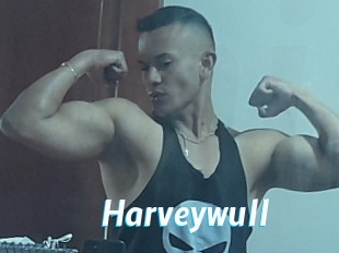 Harveywull
