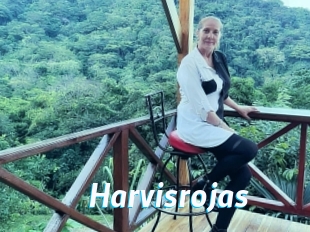 Harvisrojas
