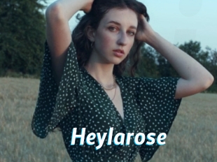 Heylarose