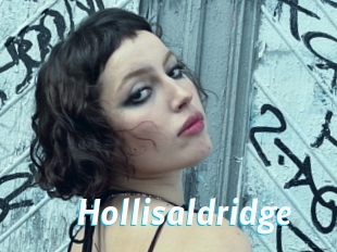 Hollisaldridge