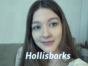 Hollisbarks