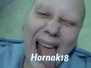 Hornak18