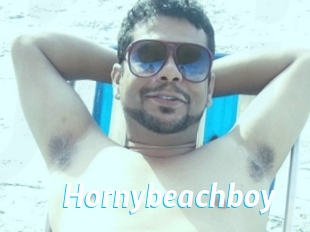 Hornybeachboy