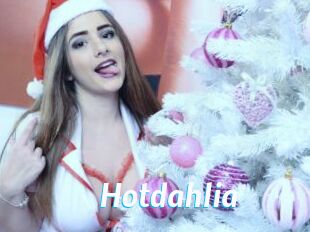 Hotdahlia