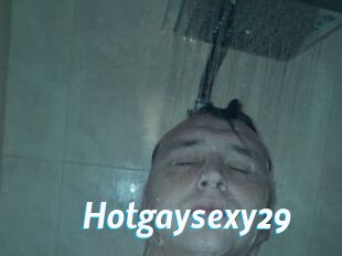 Hotgaysexy29