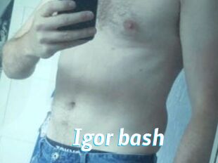 Igor_bash