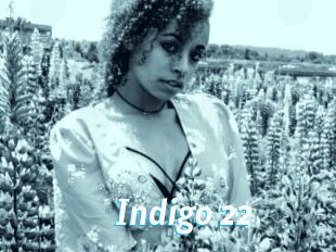 Indigo_22
