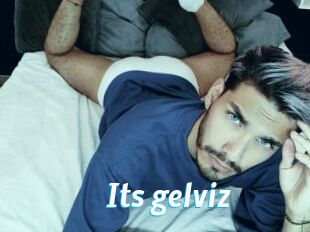 Its_gelviz