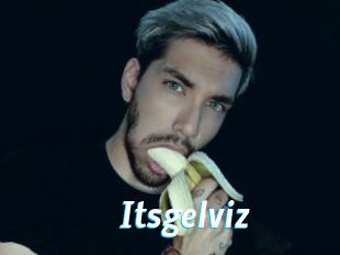 Itsgelviz